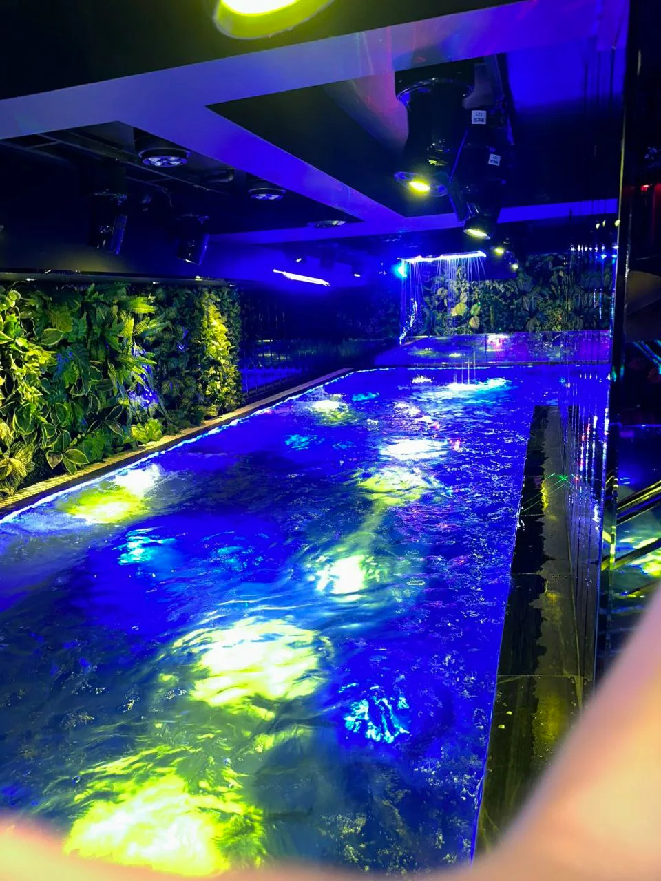 櫻花 2櫻花泳池空間實景